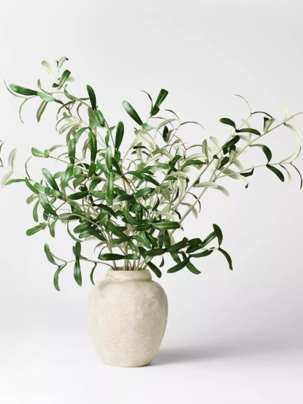 Studio McGee Olive Leaf Potted Arrangement